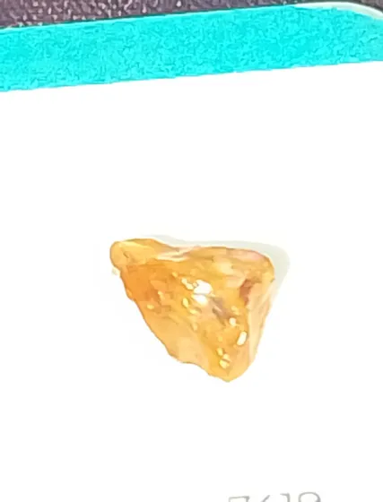 Opolo De Fuejo