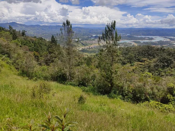 Vendo Lote En Guatape Para Proyecto Hotelero O Casas Campestres