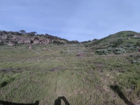 Vendo Parcela 5000 Mts, Con Cierre Perimetral Y Electricidad
