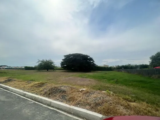 Vendemos Lotes Campestres Condominio Matapalo Rozo