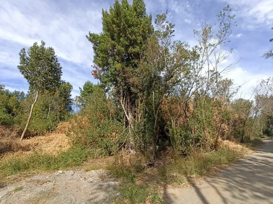 Se Vende Parcela En Puerto Varas