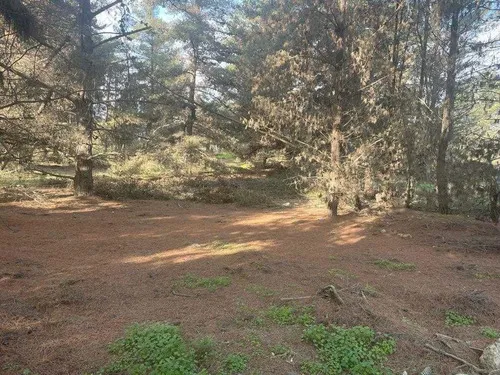 Los Pinos De Reñaca, Terrenos Desde 1500 M2 