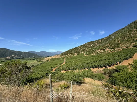 Sitio En Venta En Las Cabras