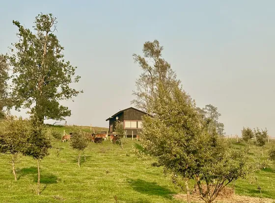 Acogedor Refugio De Campo A 15 Minutos De Lago Ranco