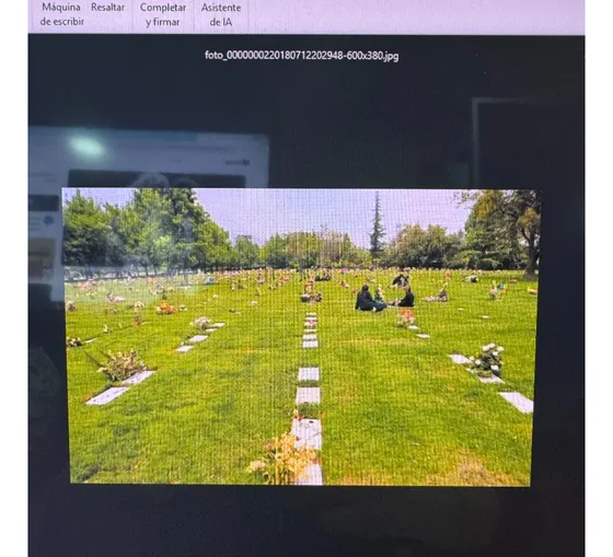 Se Venden Nichos Juntos En Parque Del Recuerdo