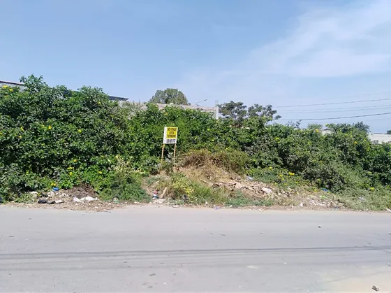 Vendo Terreno Por Viaje