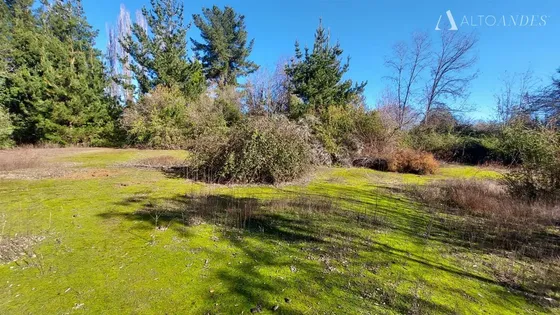 Terreno En Vilches De 6.600mts2 En Venta Con Gran Conexión