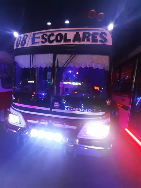 Alquiler De Micros Colectivos Escolares, Viajes Habilitados 