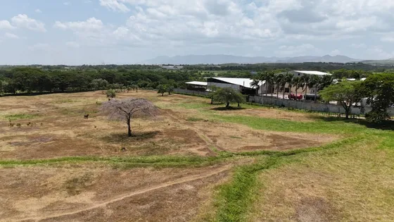Finca En Santiago De 225 Tareas Con Titulo 
