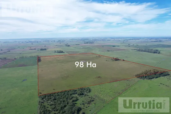 Campo En Venta En Lobos