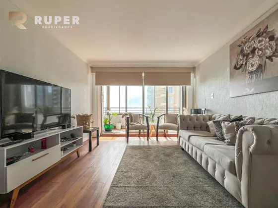 Arriendo Dpto Amplio Con Mucho Sol Y Vista Al Mar 3d 3b 2e