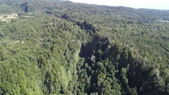 Turisticas En Venta En Puerto Varas