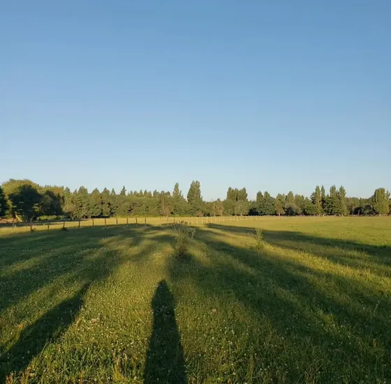 Parcelas A 12km Del Saltos Del Laja