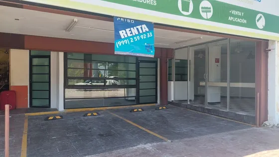 Excelente Local Comercial En Prolongaciòn De Paseo De Montejo