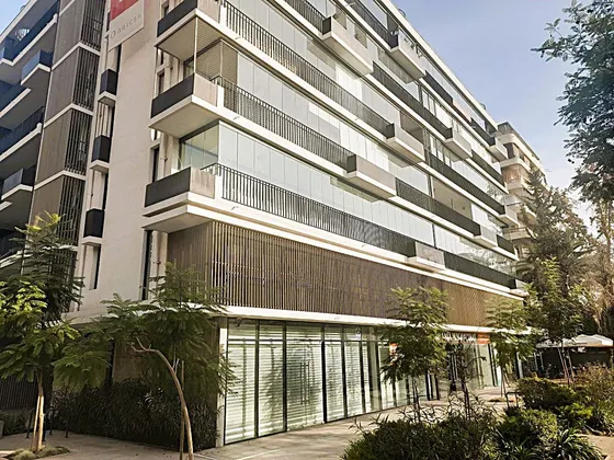 Sector Eliodoro Yáñez / Los Leones