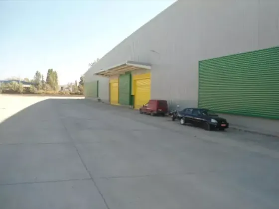 Bodega 780 M2 Roberto Simpsons
