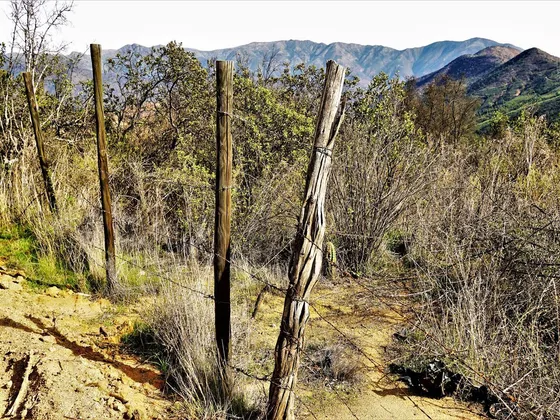 Parcela 32.000m2 En Venta En Cuesta La Dormida - Olmué.