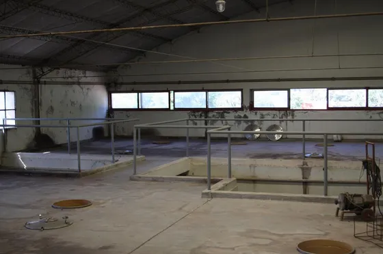 Bodega - Mendoza