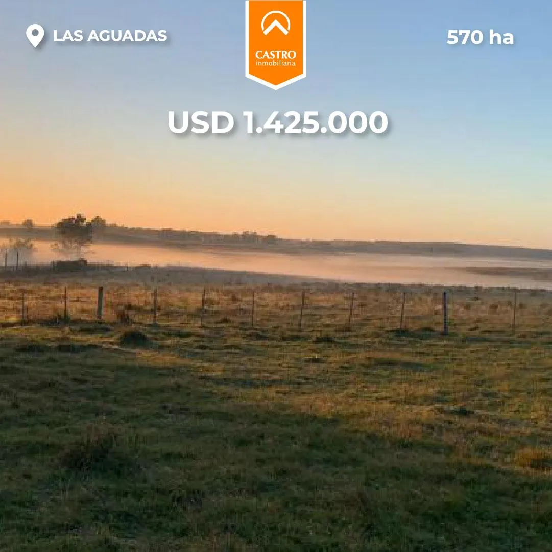 Campo 570 Ha - Las Aguadas, San Martin