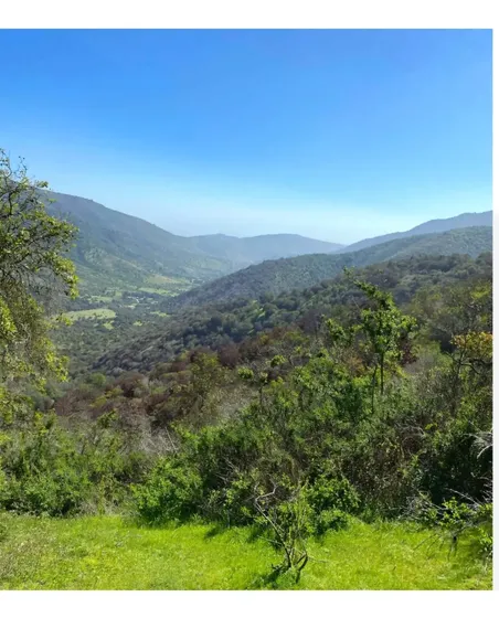 Terreno En Comunidad Ecológica , Puchuncaví