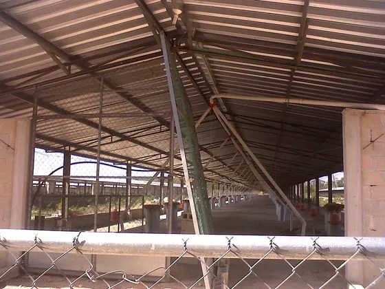 Granja Gigante Tekit De Regil
