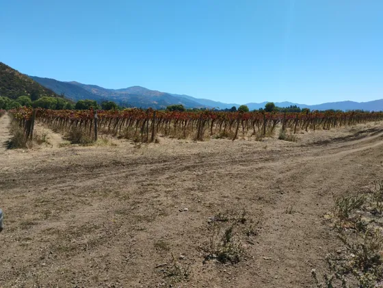 600 Hectareas Con Agua Lago Rapel