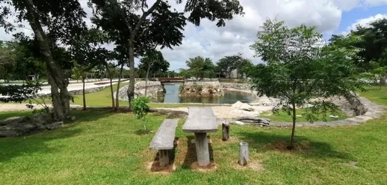 Terreno Venta En Puerta De Agua, ...progreso Yucatán.
