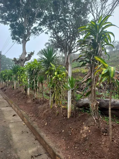 Terreno En El Sector Sabaneta Sur, Miranda, Carabobo    Plt-247