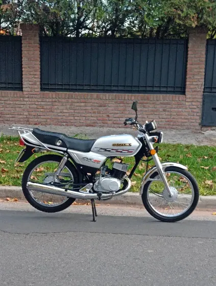 Suzuki Ax 100