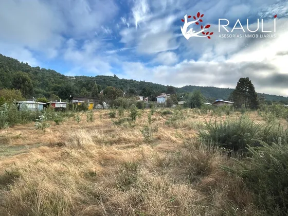 Parcela En Venta De 5.000 M2, Camino A Niebla, Valdivia