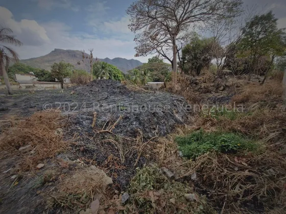Terreno En Venta En Las Delicias Maracay Aragua  25-16133 Irrr