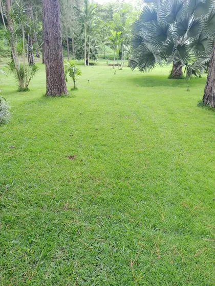Mini Finca En Montalbán Super Negociable An