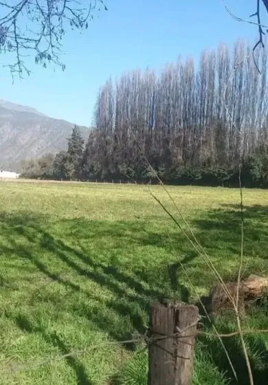 Se Venden 5 Parcelas Planas De 5.000 Sector Abrantes Paine