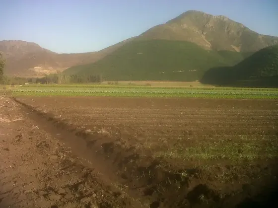 Parcela En Venta En Llaillay