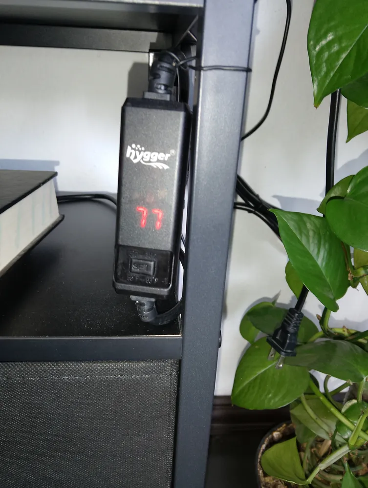 Foto del producto compartida por el comprador 2 de 8