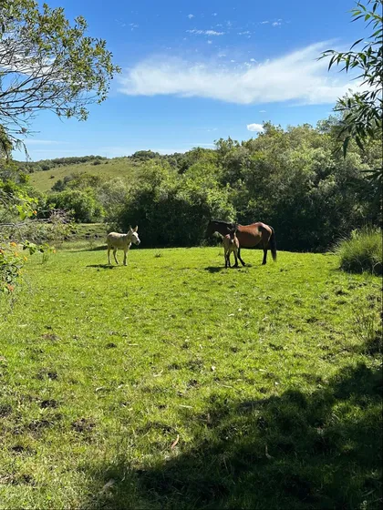 Venta Chacra Lavalleja Proxima A Minas