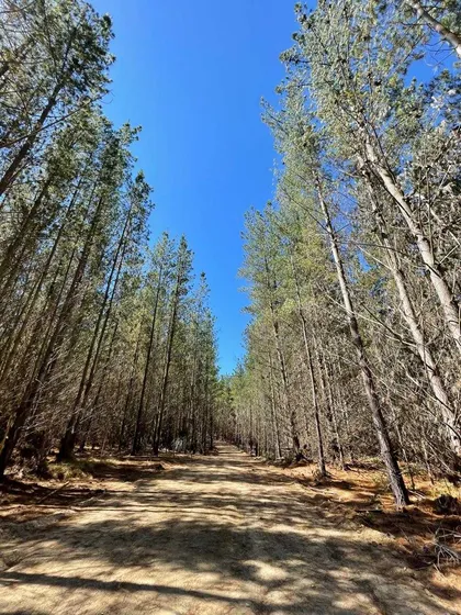 8 Mil Metros En Reserva De Tunquen (66851)