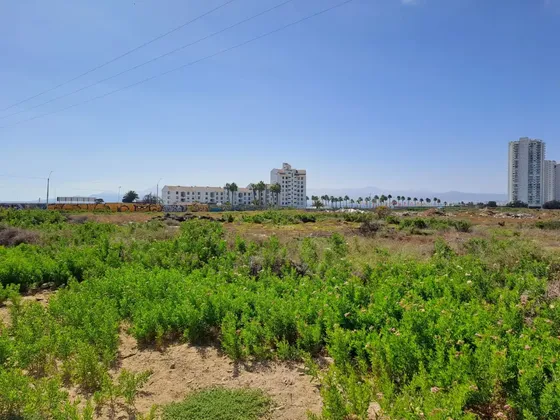 Venta De Terreno En Coquimbo Id 49.952-lin