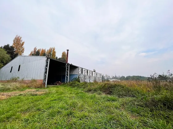 Terreno En Venta - 1 Hectárea En Charrúa, Comuna De Cabrero,