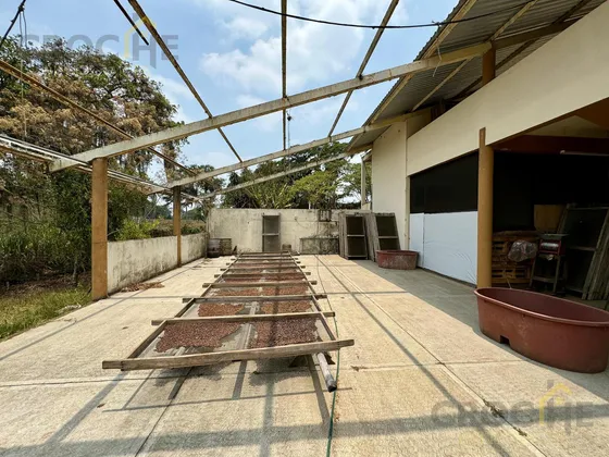 Finca El Tucán En Venta En Pacho Viejo Coatepec Ver.