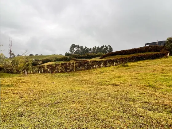 Hermosos Lotes En Venta Con Excelente Ubicación -el Carmen De Víboral