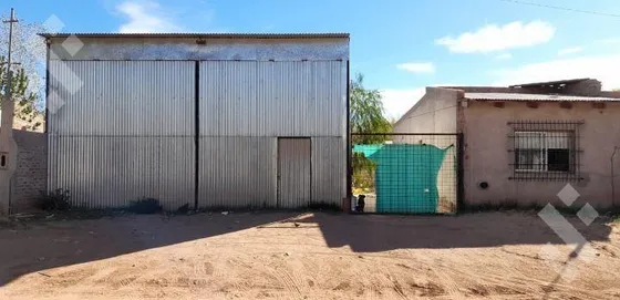 Se Alquila, Galpon, En Rincón De Los Sauces