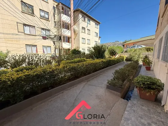 Oportunidad Vendemos Depto De 3 Dorm/1 Baño, En Viña Del Mar