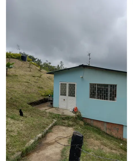 Venta Bodega Silvinia 