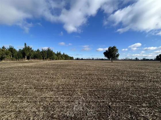 Agrícola En Venta En Los Angeles
