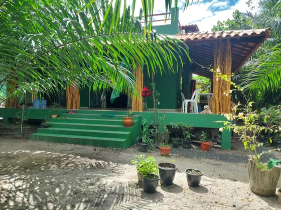 Ninho Quariquara À Venda