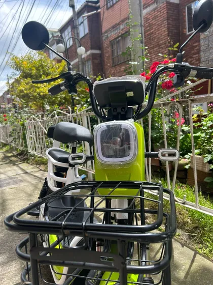 Bicicleta Eléctrica