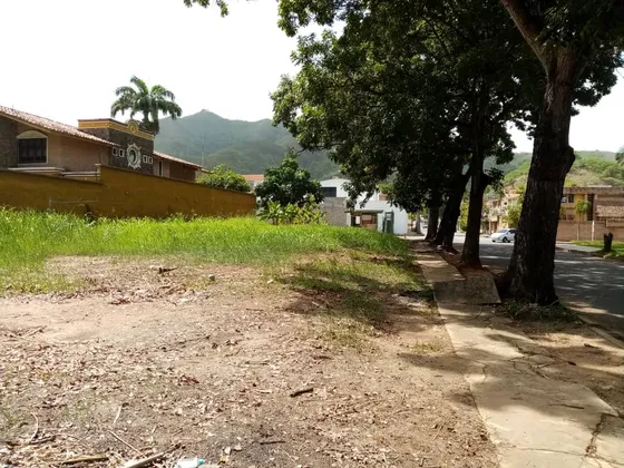 Se Vende Terreno En Prebo 2 Carmen N.