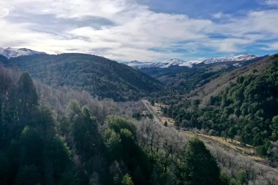 Terreno 5 Ha Camino A Corralco - Malalcahuello