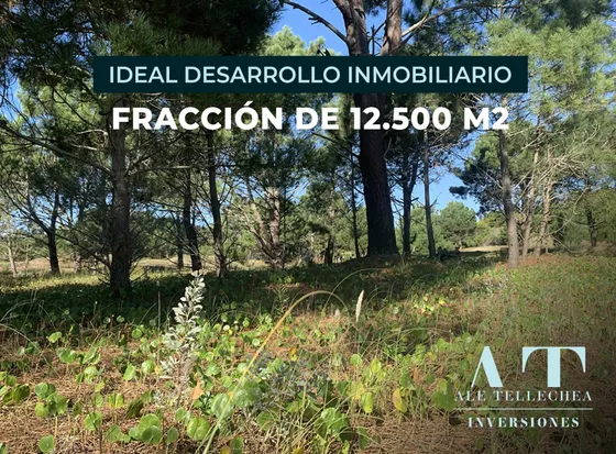 Ideal Inversión Para Desarrollo Inmobiliario